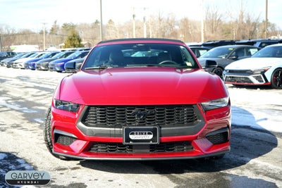 2024 Ford Mustang EcoBoost
