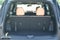 2026 Hyundai SANTA FE Limited 7P
