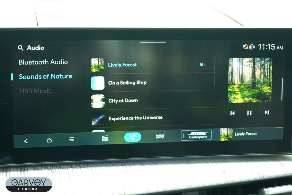 2025 Hyundai SANTA FE HYBRID Calligraphy