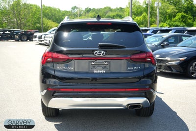 2023 Hyundai SANTA FE Calligraphy
