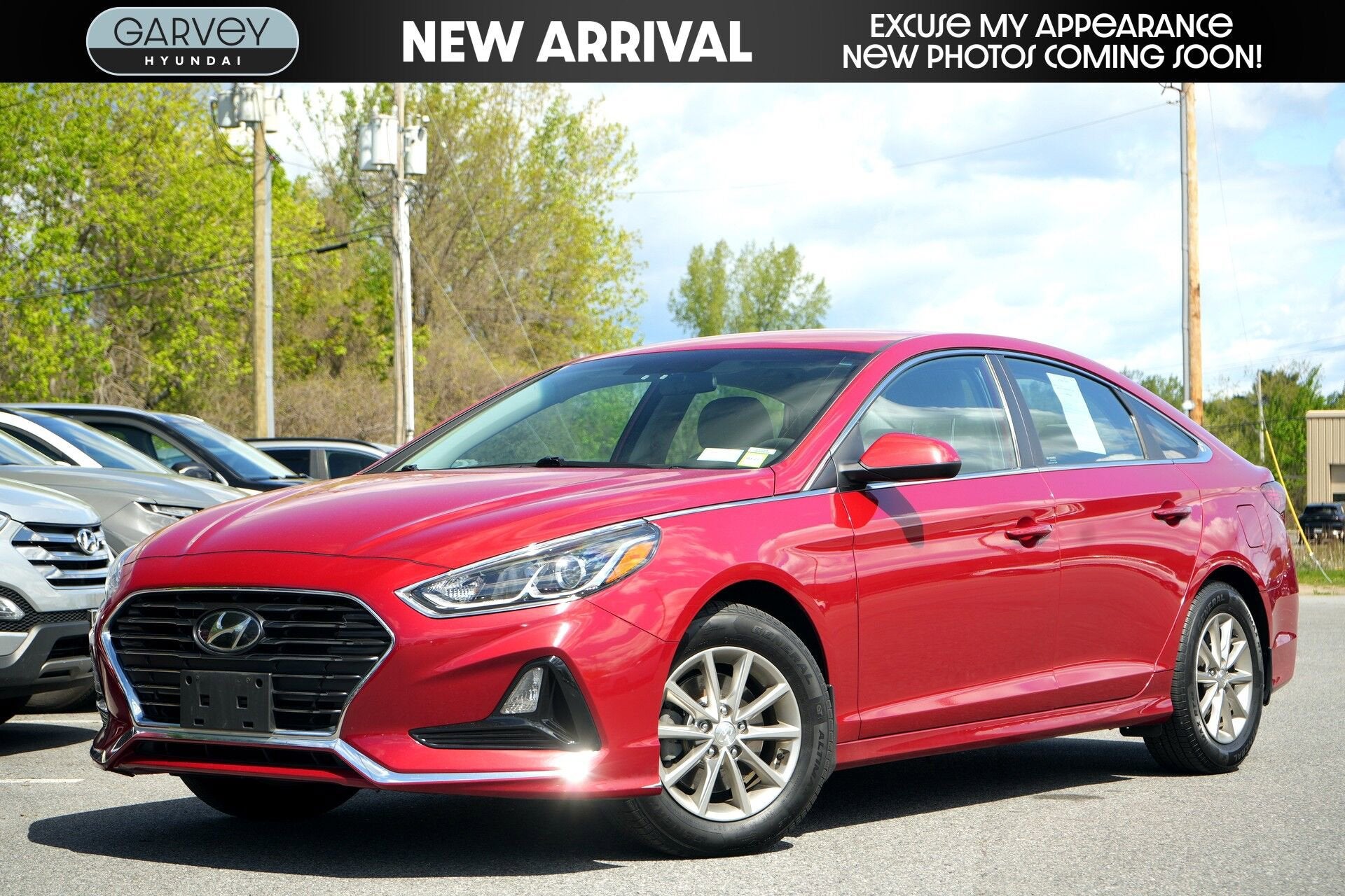 2019 Hyundai Sonata SE SULEV's photo