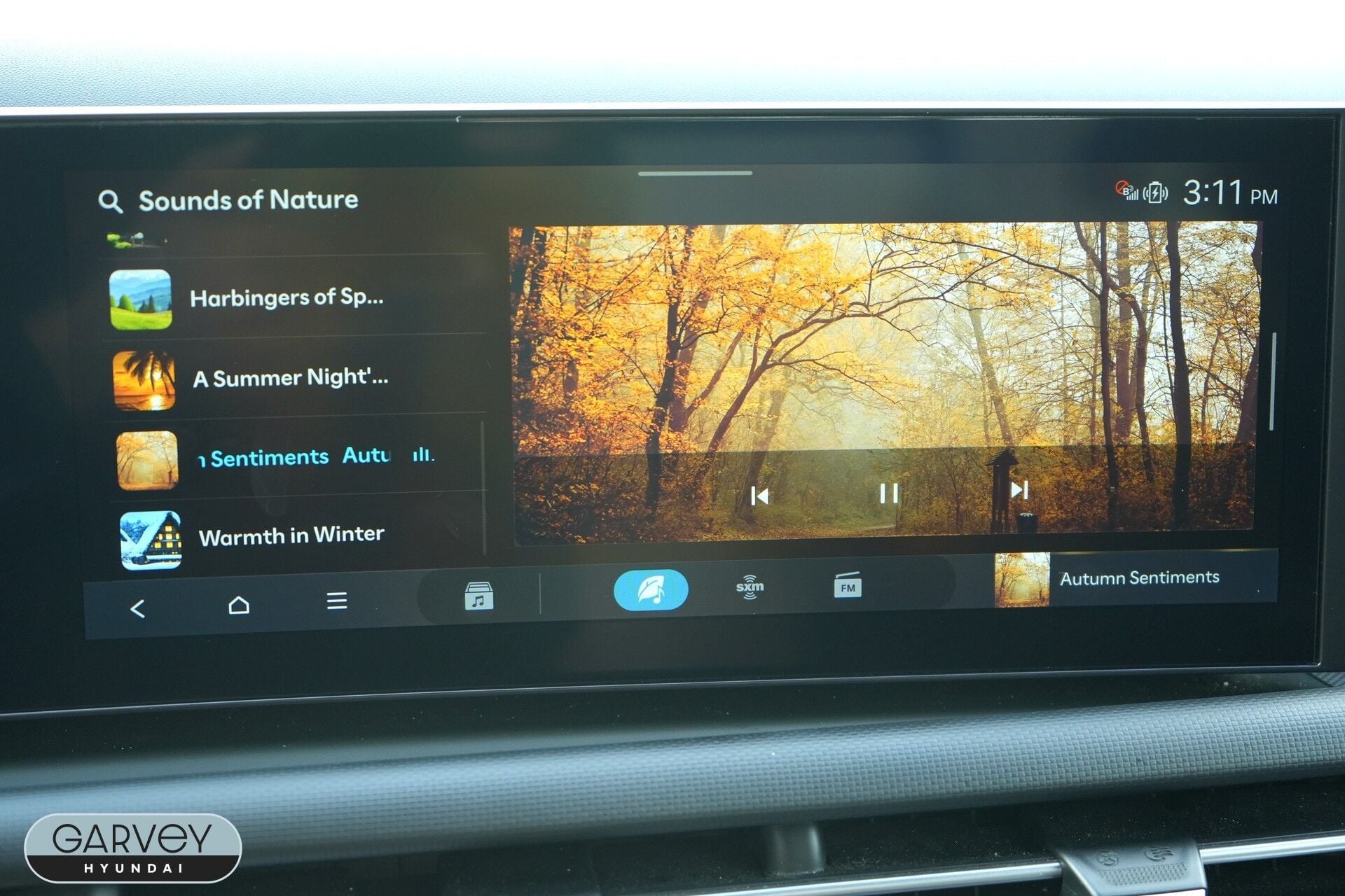 2025 Hyundai SANTA CRUZ SEL Activity