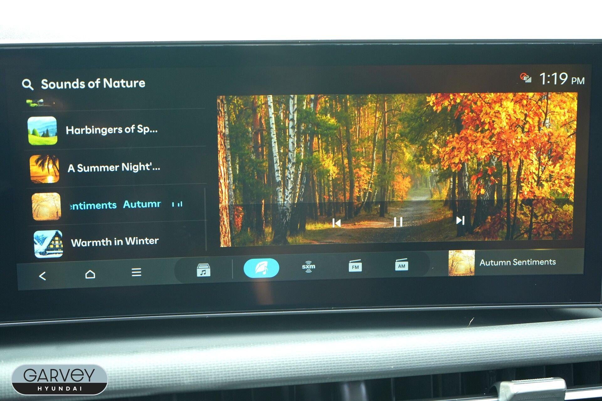 2027 Hyundai SANTA CRUZ SEL Activity