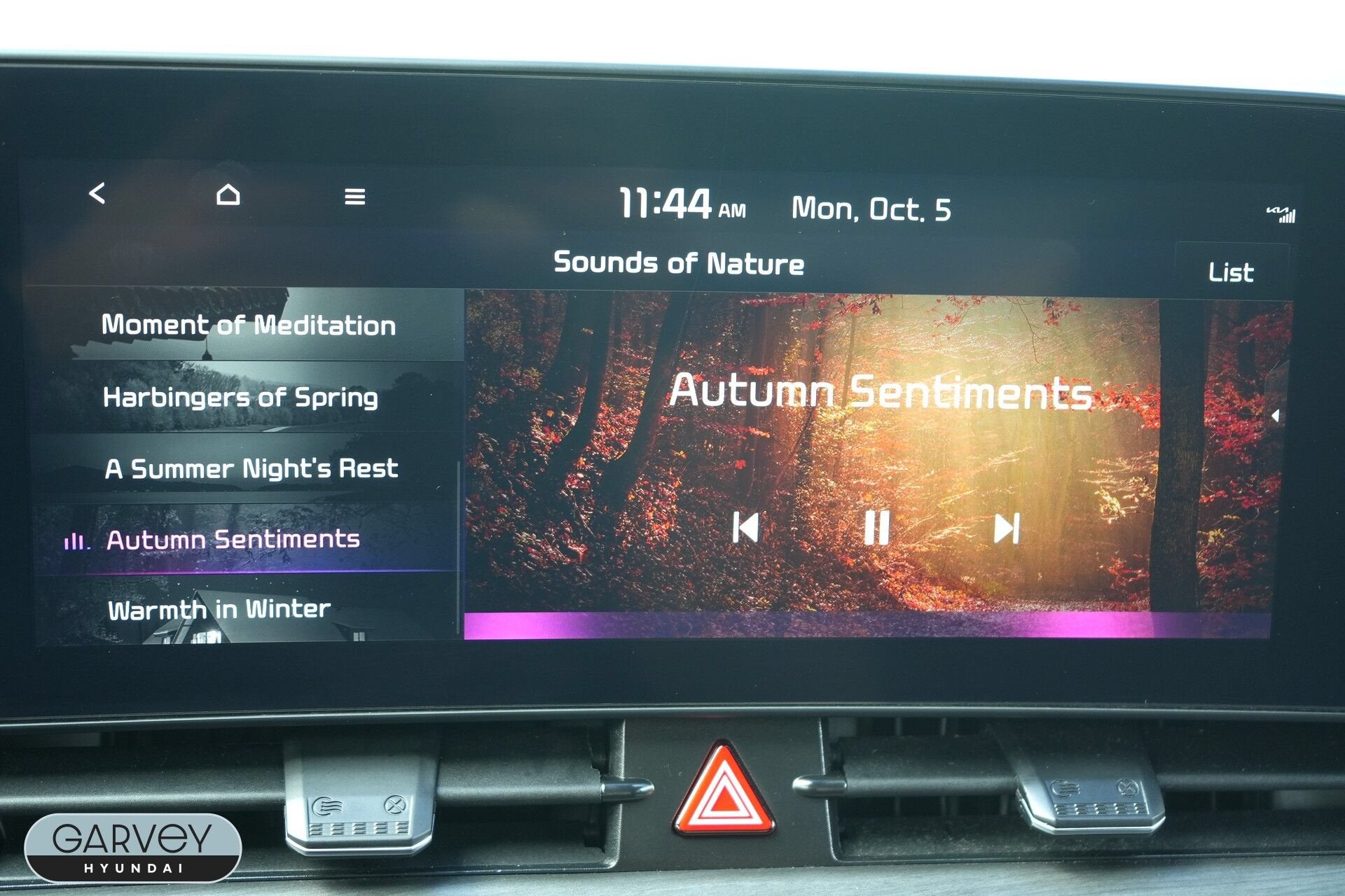 2024 Kia Sportage X-Pro