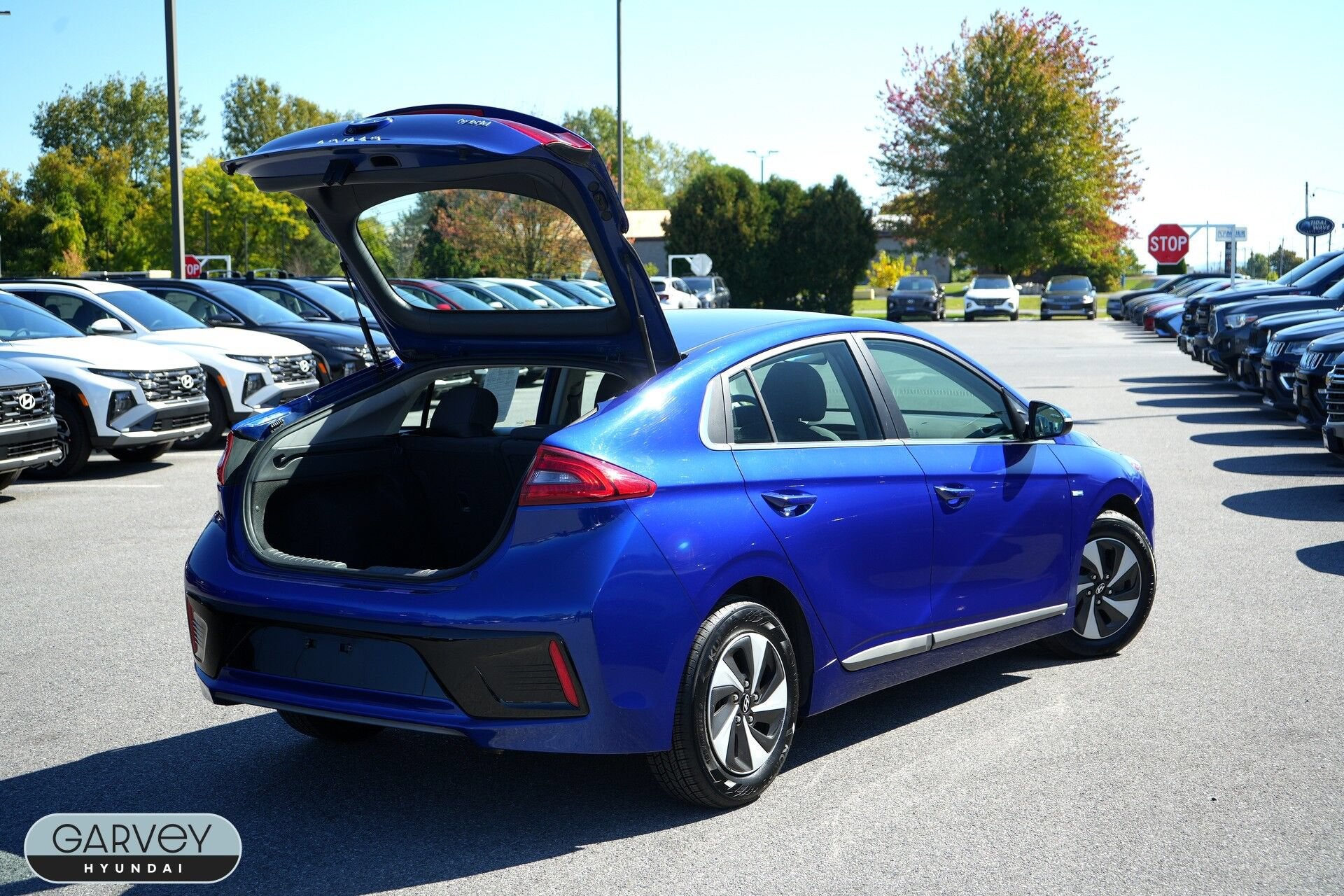 2019 Hyundai IONIQ HYBRID SEL