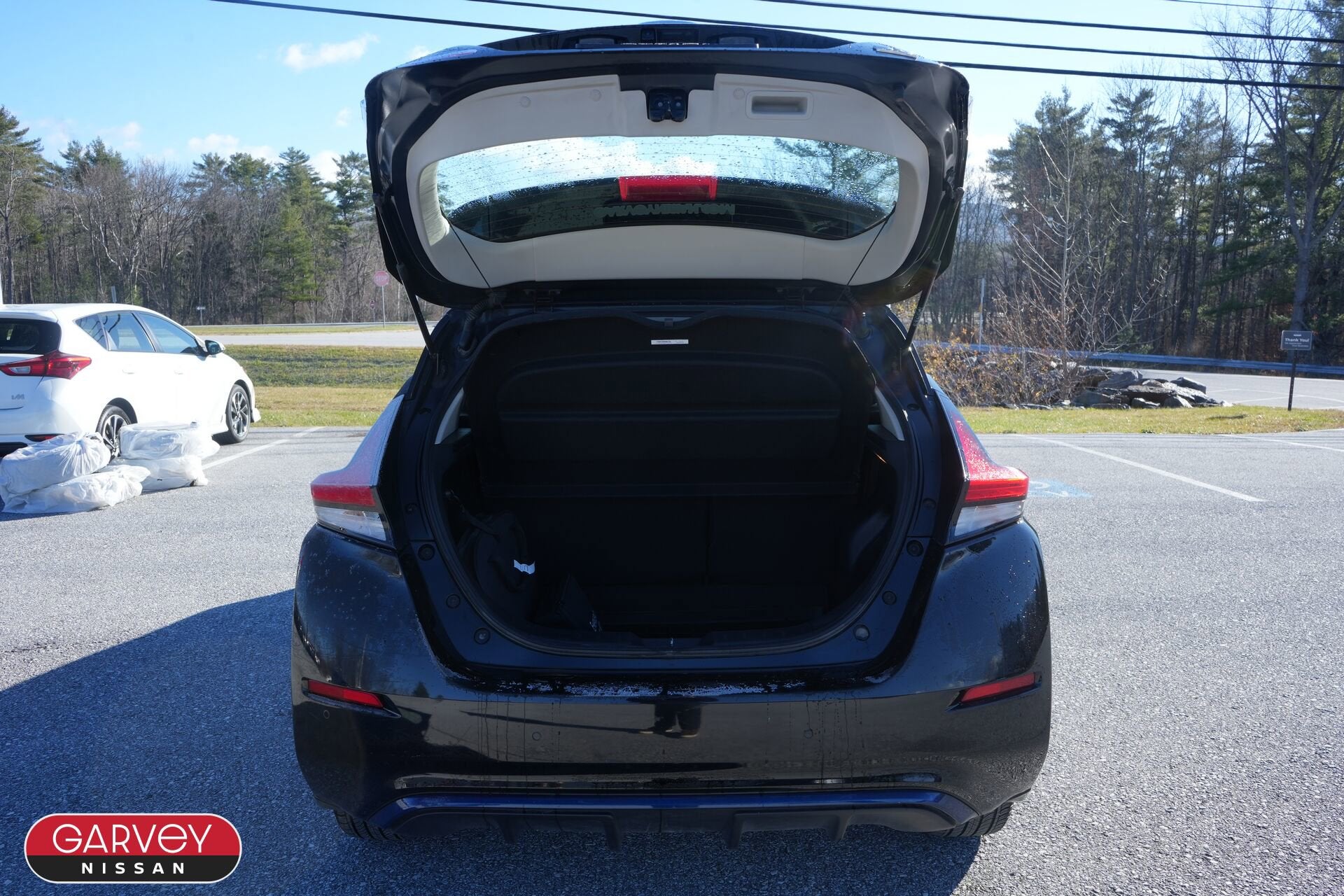 2020 Nissan LEAF SV PLUS