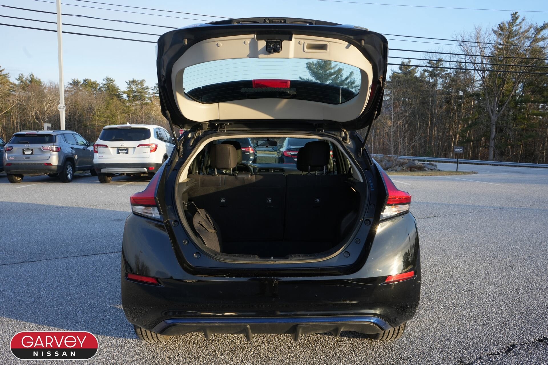 2019 Nissan LEAF S PLUS