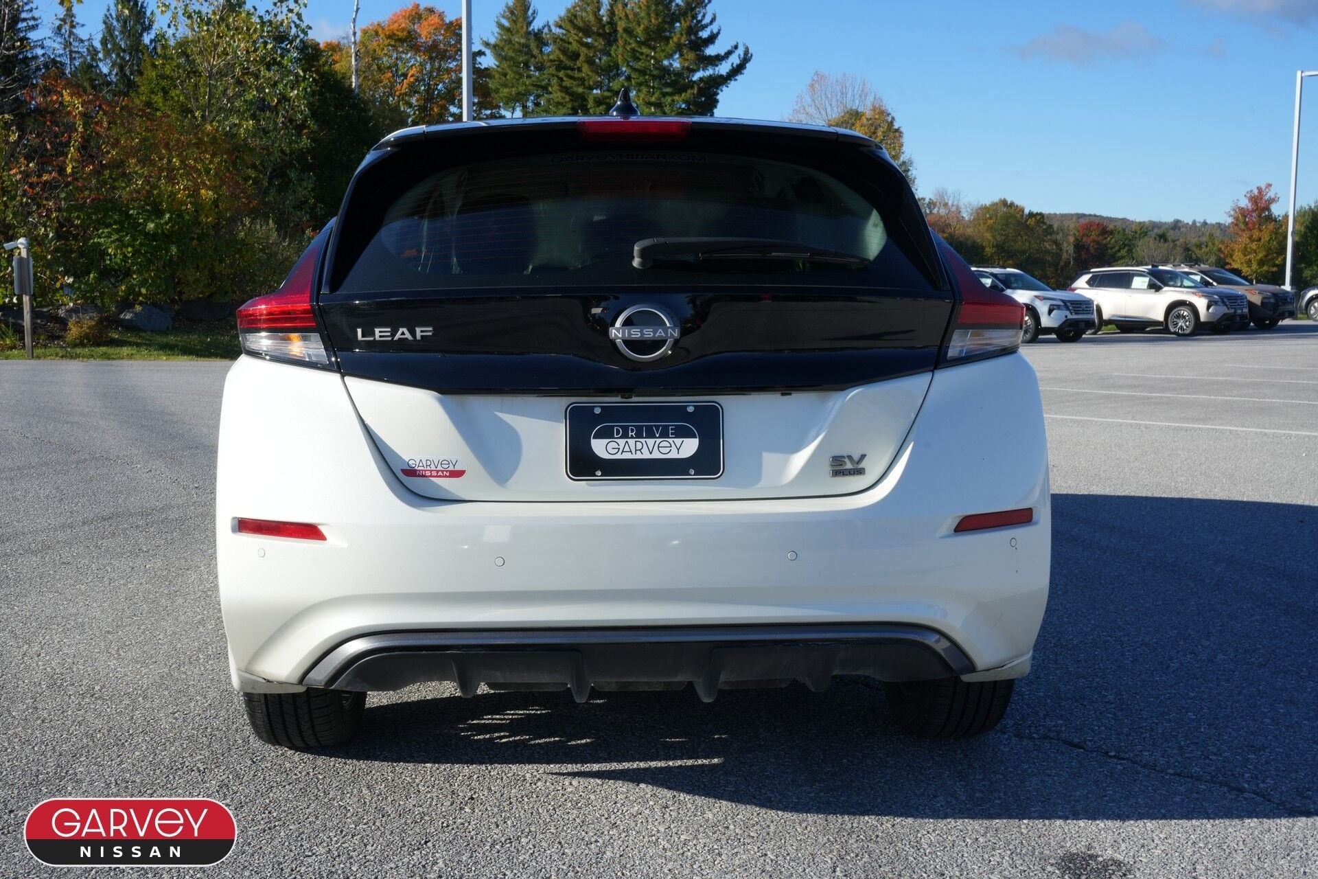 2025 Nissan LEAF SV PLUS