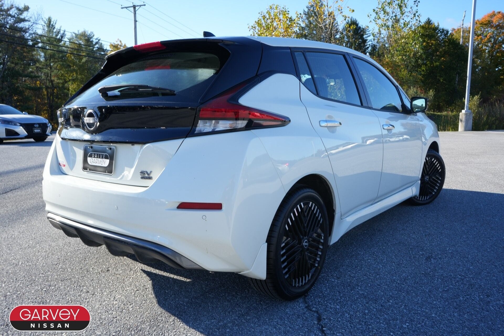 2025 Nissan LEAF SV PLUS