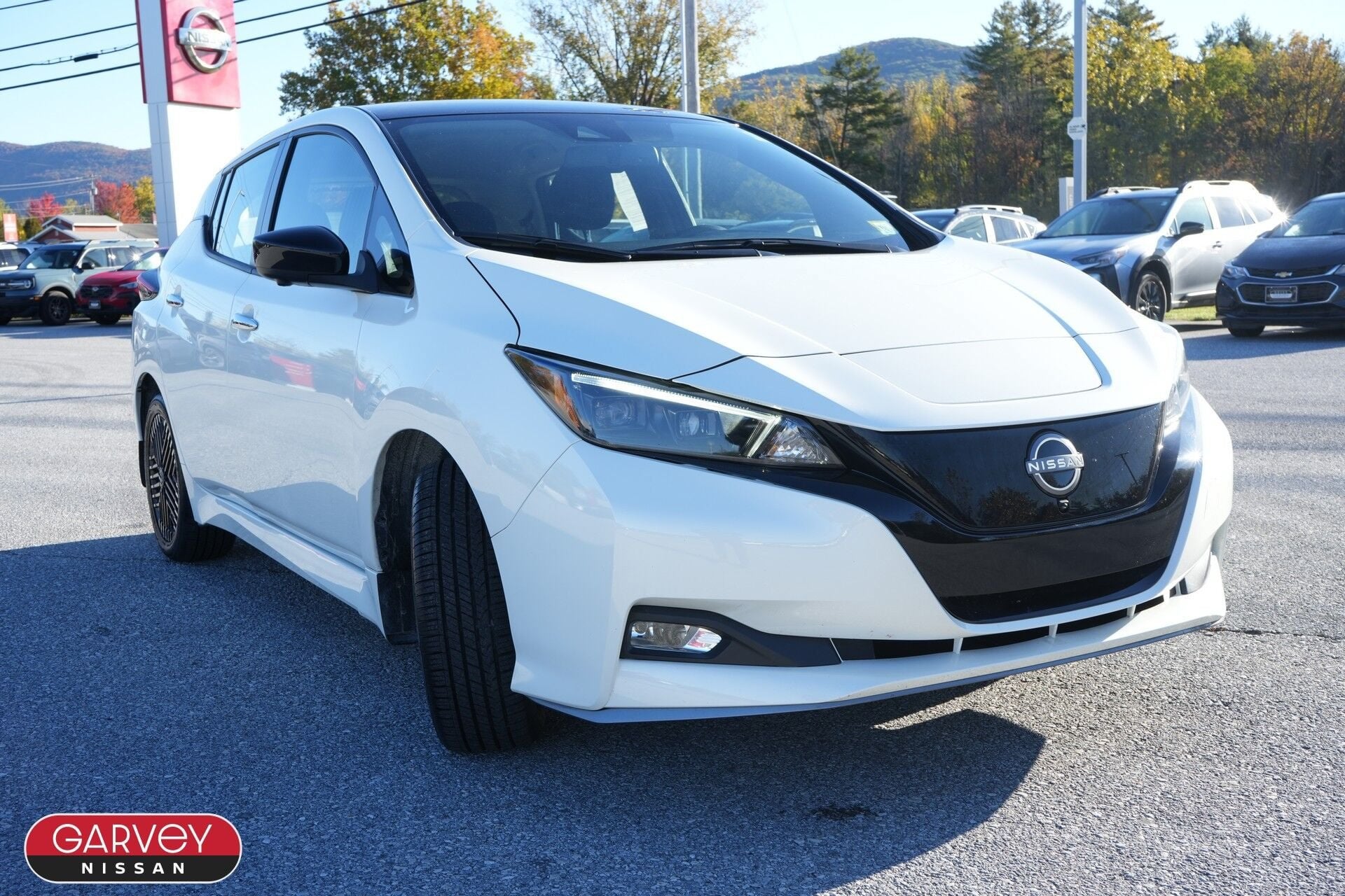 2025 Nissan LEAF SV PLUS