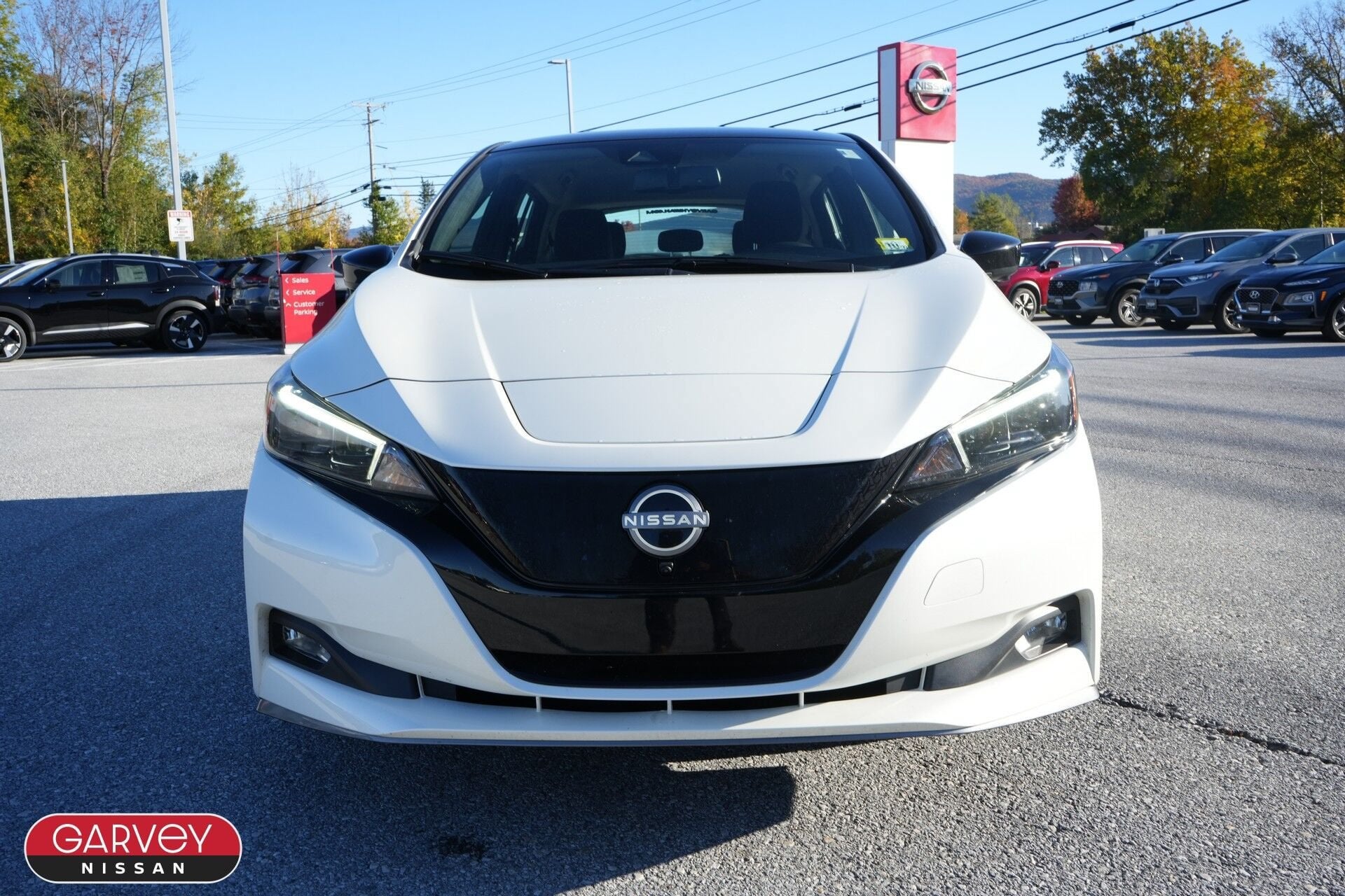 2025 Nissan LEAF SV PLUS