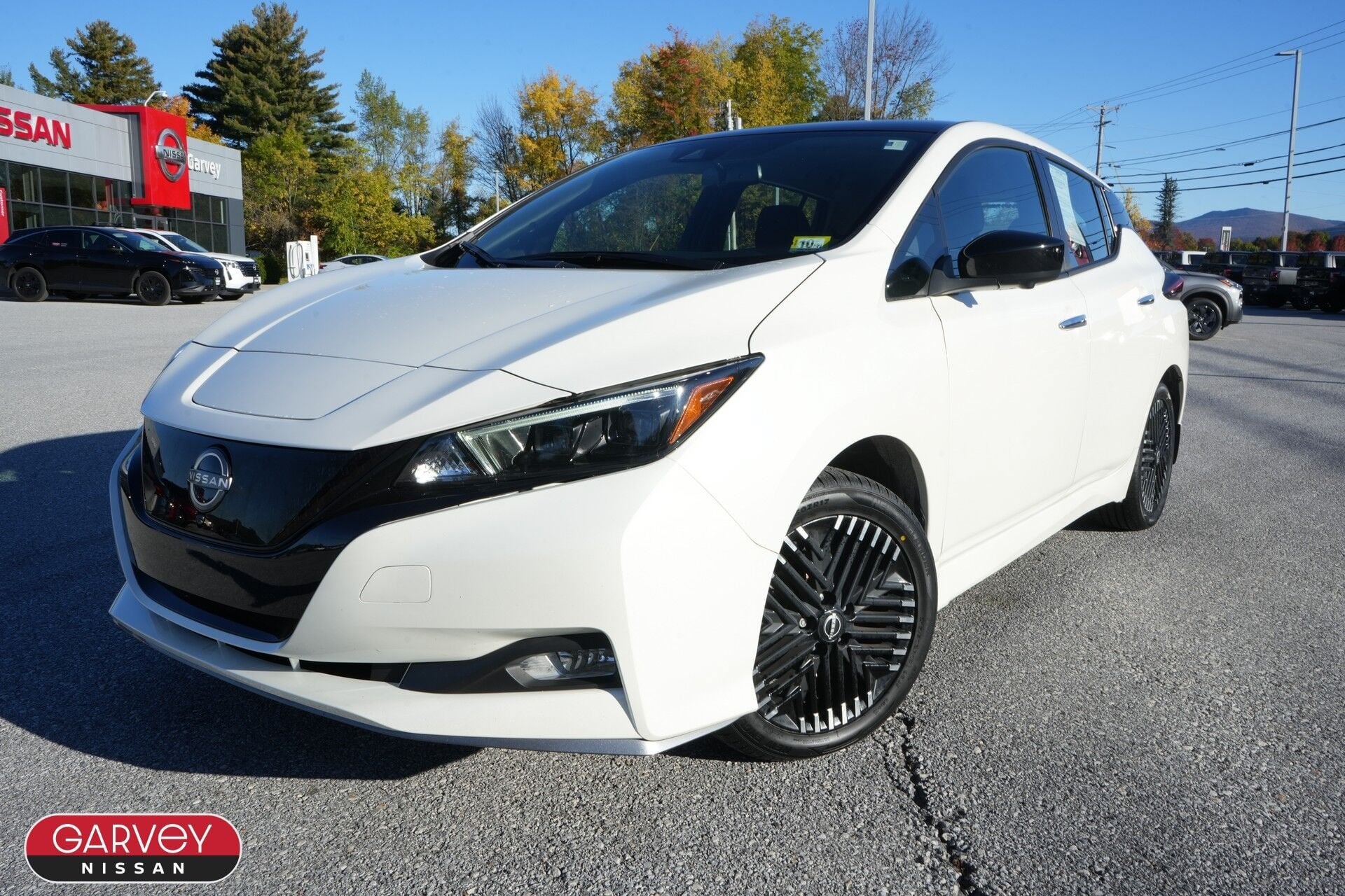 2025 Nissan LEAF SV PLUS