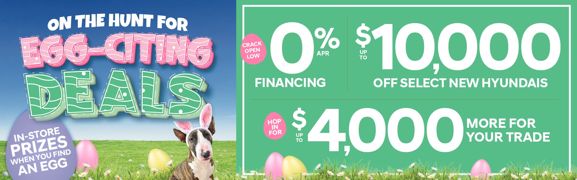Egg-citing Deals